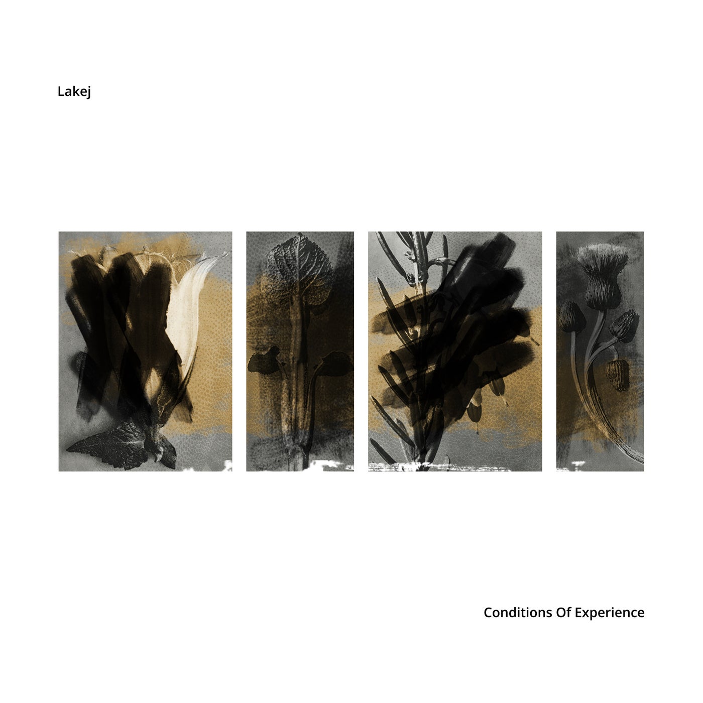 Lakej – Conditions Of Experience [EDITSELECT 103VLP3]